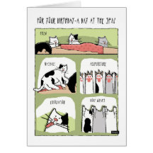 誕生日スパトリートメントと猫