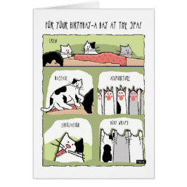 誕生日スパトリートメントと猫