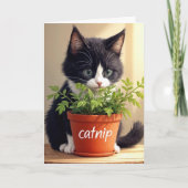 誕生日タキシードのカブ植物付き子猫 カード (正面)