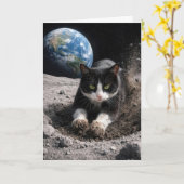 誕生日タキシード猫の月クレーター掘り カード (黄色い花)