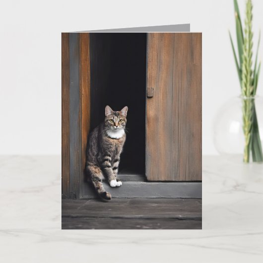 誕生日タビーキャットインバーンドードー カード (正面)