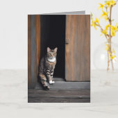 誕生日タビーキャットインバーンドードー カード (黄色い花)