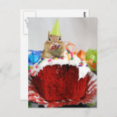 誕生日チムンク ポストカード (正面/裏面)