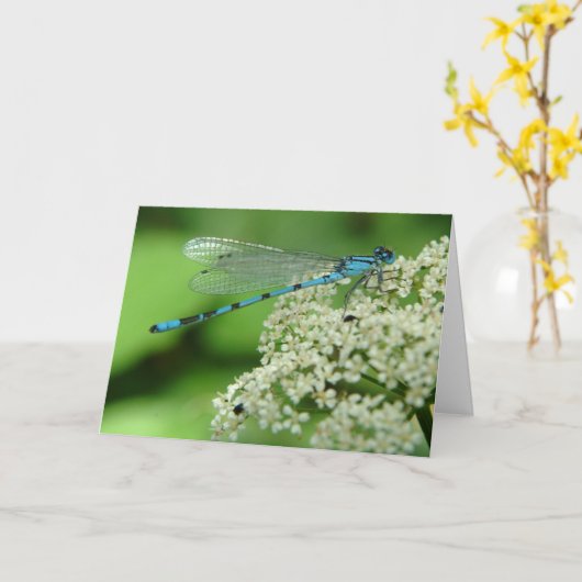 誕生日トンボ カード (黄色い花)