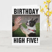 誕生日ドッグハイ5おもしろカード カード (黄色い花)