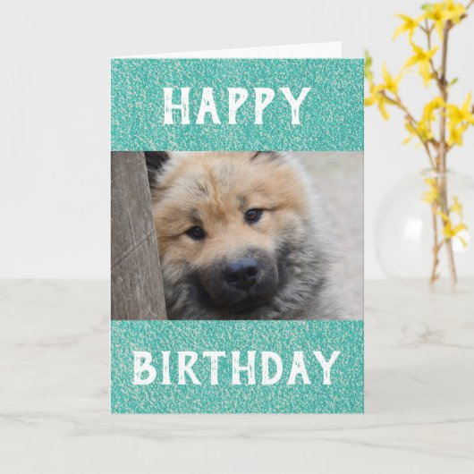 誕生日ドッグパパの世界最高ののペット写真 カード (黄色い花)