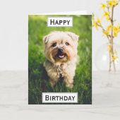 誕生日ドッグパパの世界最高ののペット写真 カード (黄色い花)