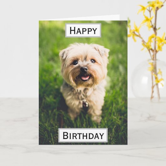 誕生日ドッグパパの世界最高ののペット写真 カード (黄色い花)