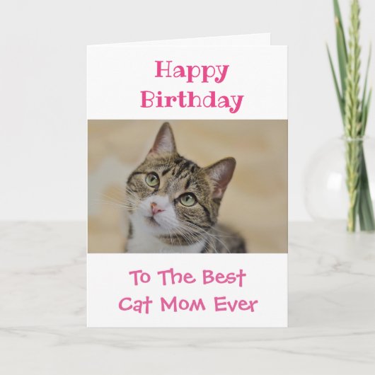 誕生日ネコ母の世界の最高のペットの写真 カード (正面)