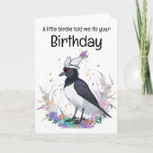 誕生日ハットの背景を着たマグピー紙吹雪 カード (正面)