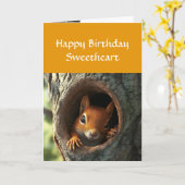 誕生日ハッピーキュートおもしろいナッツAbout You Squirrel カード (黄色い花)