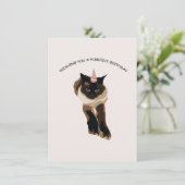 誕生日ハロデイカード(シャム猫) シーズンカード (スタンド正面)