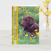 誕生日ハンサムラブラドールリトリーブドッグ写真 カード (黄色い花)