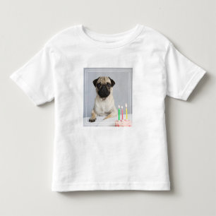 誕生日パグ トドラーTシャツ