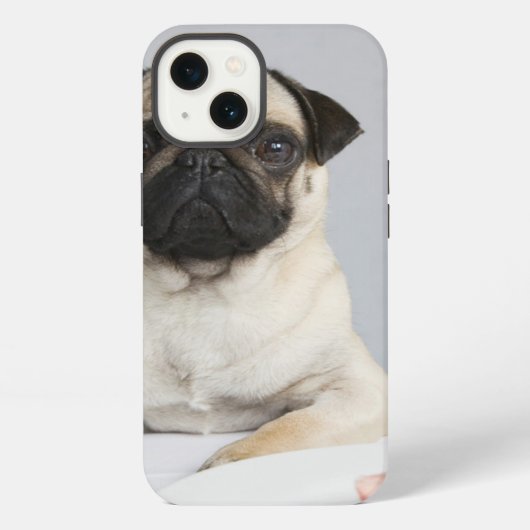 誕生日パグ iPhoneケース (裏面)