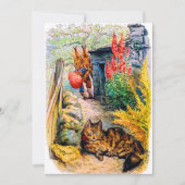 誕生日パーティーのビートリクス·ポッター·バニーズが猫を見る 招待状 (正面)