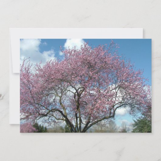 誕生日パーティーの招待状 招待状 (正面)