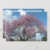 誕生日パーティーの招待状 招待状 (正面/裏面)