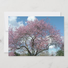 誕生日パーティーの招待状 招待状