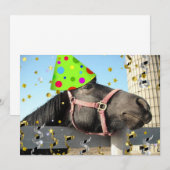 誕生日パーティーの馬の招待状 招待状 (正面/裏面)