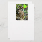 誕生日パーティーキリン 便箋 (正面/裏面)