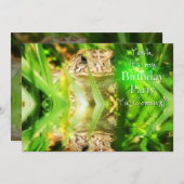 誕生日パーティー招待状ユーモアカエル来か? 招待状 (正面/裏面)