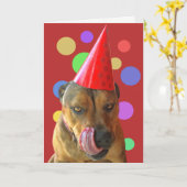 誕生日ピットブルキュートドッグとパーティーハットキス カード (黄色い花)