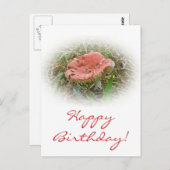 誕生日ピンクマッシュルームポストカード ポストカード (正面/裏面)