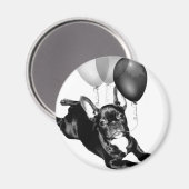 誕生日フランスのブルドッグ磁石 マグネット (正面/裏面)