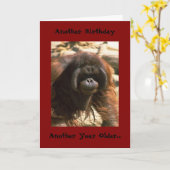 誕生日ブラザーカード カード (黄色い花)