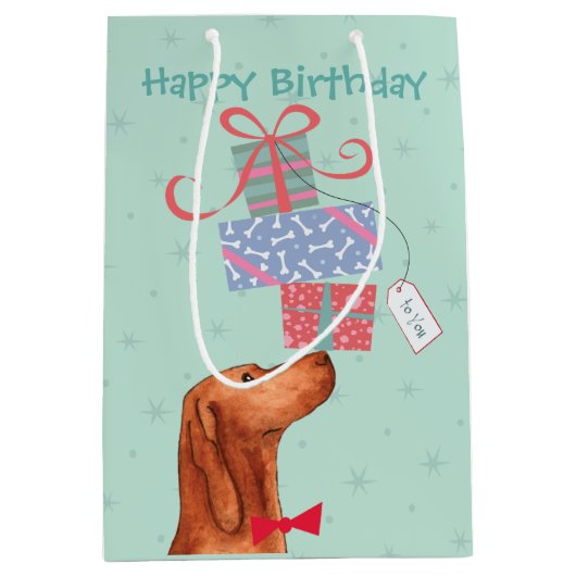 誕生日プレゼントビズスラミディアム抱き枕 ミディアムペーパーバッグ (正面)