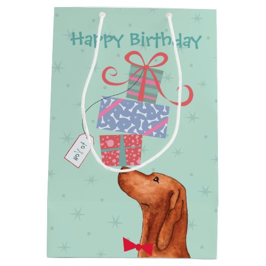 誕生日プレゼントビズスラミディアム抱き枕 ミディアムペーパーバッグ (裏面)