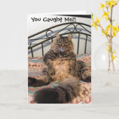 誕生日ヘアボールキムバー猫誕生日カード カード (黄色い花)