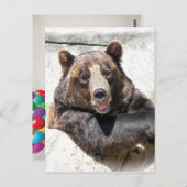 誕生日ベアパーティー招待状 ポストカード (正面/裏面)