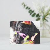 誕生日ベア ポストカード (スタンド正面)