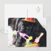 誕生日ベア ポストカード (正面/裏面)