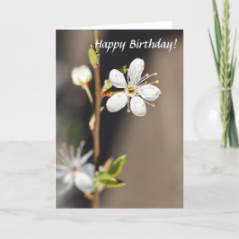 誕生日ホワイトさくらんぼ花 カード