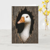 誕生日ホワイトガチョウが穴から覗き込む カード (黄色い花)