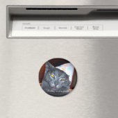 誕生日ポンパー マグネット (インサイチュ (食洗機))