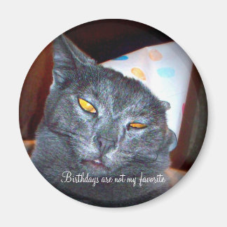 誕生日ポンパー マグネット