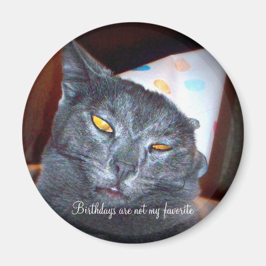 誕生日ポンパー マグネット (正面)