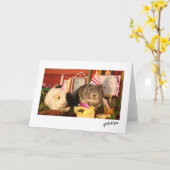 誕生日モルモット カード (黄色い花)