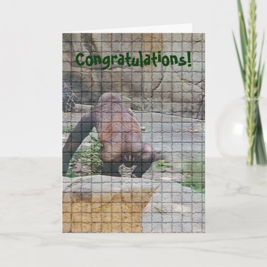 誕生日ユーモアのあるカード「マナー悪いサル」 カード (正面)