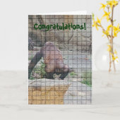 誕生日ユーモアのあるカード「マナー悪いサル」 カード (黄色い花)