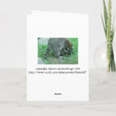 誕生日ユーモアのあるカード、ラクーン「まだそこにいるのか カード (裏面)