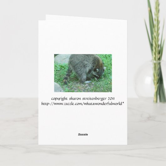 誕生日ユーモアのあるカード、ラクーン「まだそこにいるのか カード (裏面)