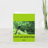 誕生日ユーモアのあるグリーティングカード カード (裏面)