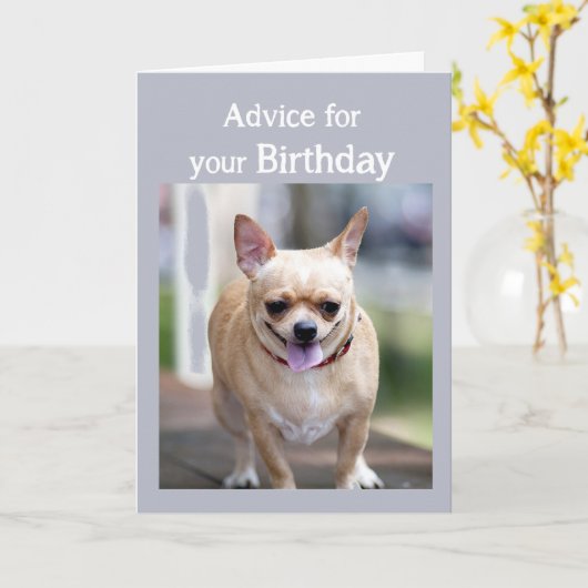 誕生日ユーモアチワフアトゥートお誕生日ケーキ カード (黄色い花)