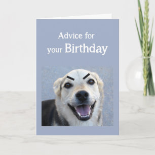 誕生日ユーモア可愛い犬の減光視力メイクアップおもしろい カード