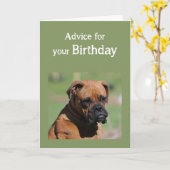 誕生日ユーモア可愛い犬もっと賢くする必要がある カード (黄色い花)